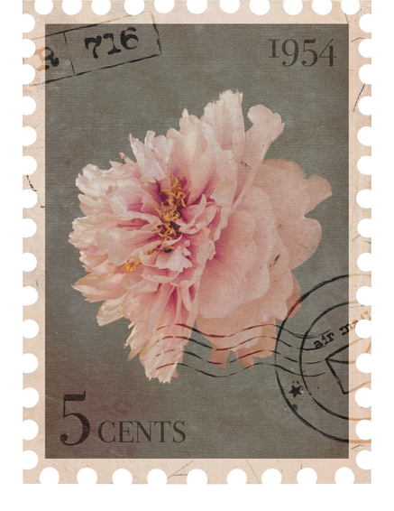 Floral vintage Postage Stamp with Peony flower